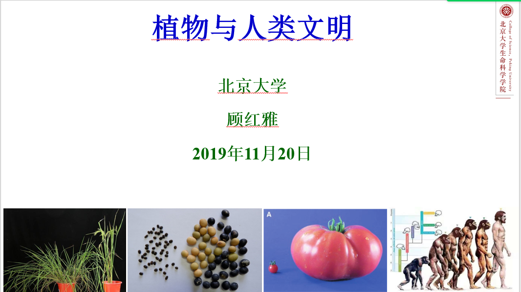 T1 顾红雅教授的讲座题目.png